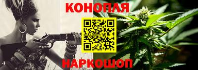 шишки Абакан