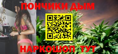 шишки Абакан