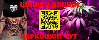 шишки Абакан