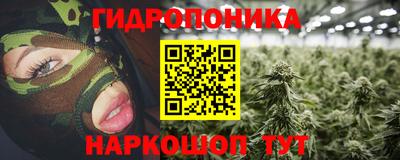 шишки Абакан