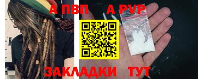 шишки Абакан