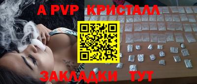 шишки Абакан