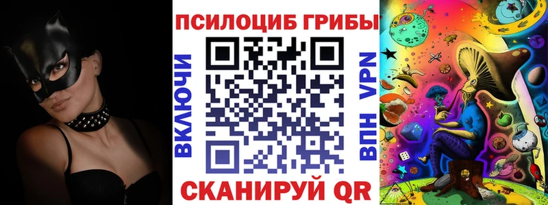 наркота  Альметьевск  Псилоцибиновые грибы Cubensis 