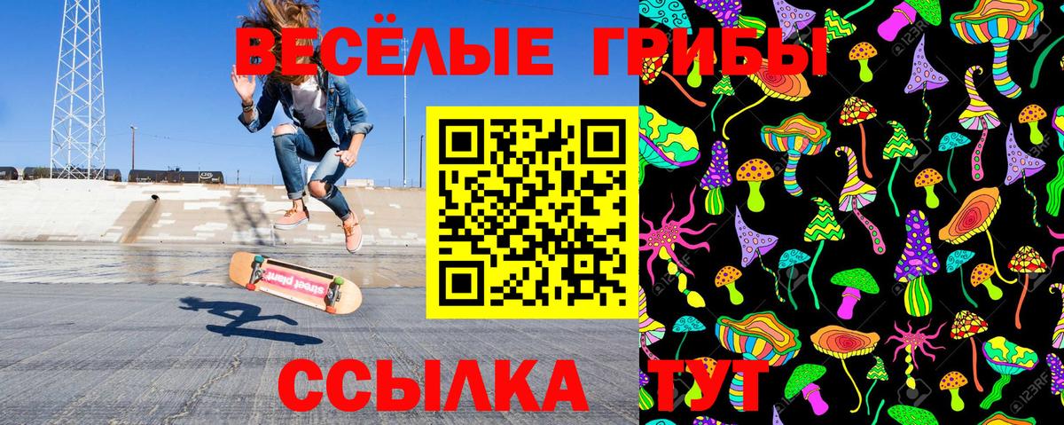 Псилоцибиновые грибы Psilocybine cubensis  Вход с VPN  Альметьевск  Псилоцибиновые грибы Psilocybe 