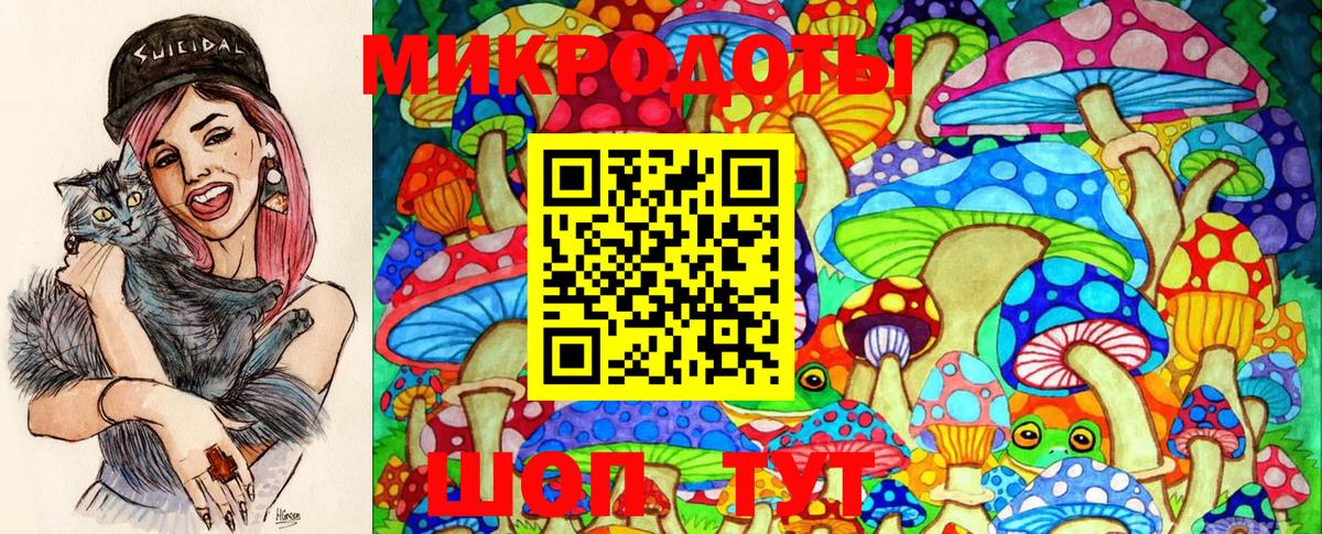Псилоцибиновые грибы мухоморы Альметьевск