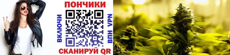 Канабис SATIVA & INDICA  MEGA ссылка  Альметьевск 